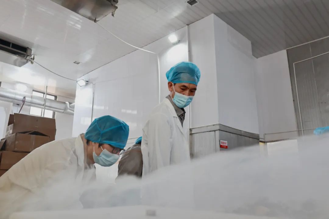 深耕海味，他是连江制“香”人——探访百余种水产赋能者林伯雄