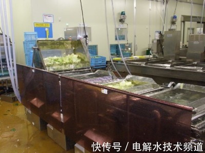 日本电解水应用实录 电解水让食品工厂更清洁——水产品篇