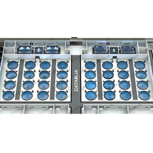 循环水养殖南美白对虾 崇睿RAS系统产品引领工厂化水产养殖新风尚