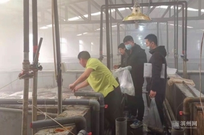 20批次全部合格！滨州市开展冬季工厂化养殖水产品监督抽查