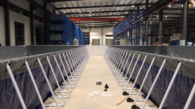 年入千万 室内工厂化水产养殖成就创业致富新路径