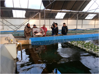 透过央视看渔业 京城老鱼背后的乡村振兴新赛道