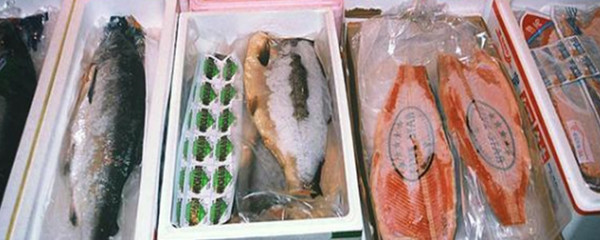 同筑健康饮食，关爱肾脏，让疗子焕发新生